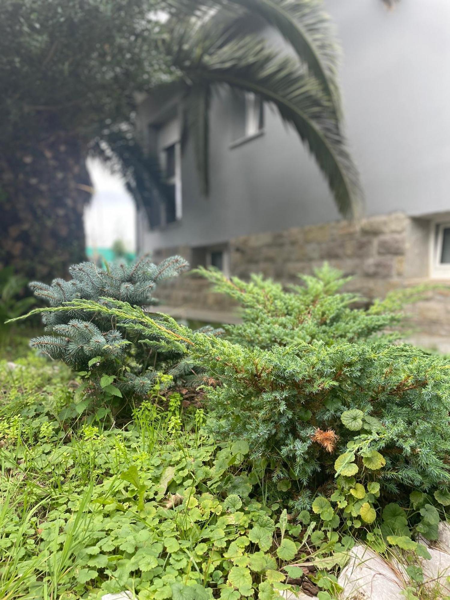 Vila Kasaboba Parres de Llanes Exteriér fotografie